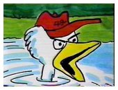 Duck in 